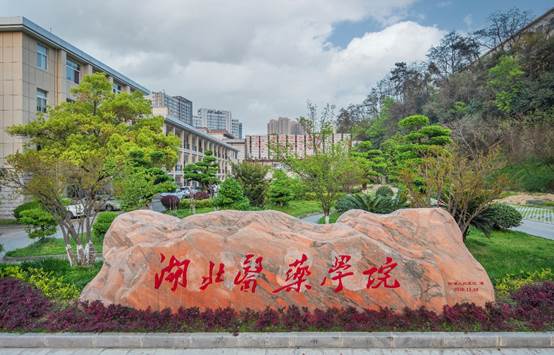 砖墙上的涂鸦中度可信度描述已自动生成